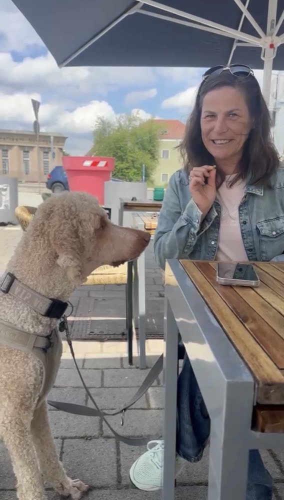 Hund wartet ruhig — Struktur und Verlässlichkeit