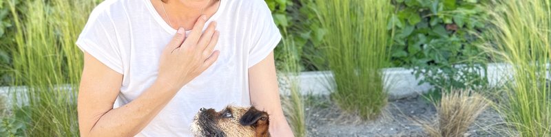 Mensch und Hund ruhig und gelassen im Blickkontakt
